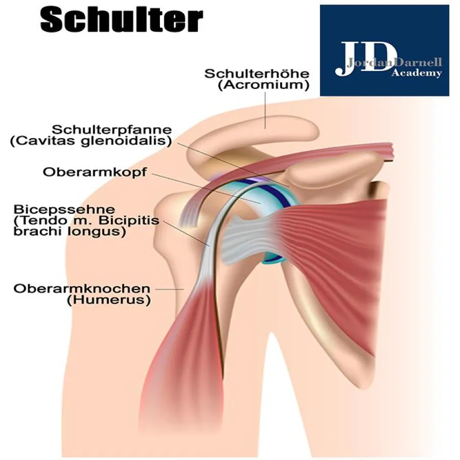 Fitnesstrainer B-Lizenz Lehrbrief