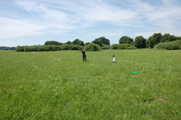 Bild: Warum nicht jeder große Salzwassereintrag der Ostsee gleichermaßen nützt