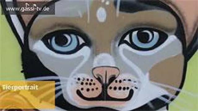 Bild: Tiervermittlungswoche bei GASSI-TV