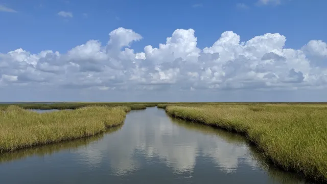 Bild: Erste Weltkarte zeigt Einfluss der Gezeiten auf Küstenflüsse