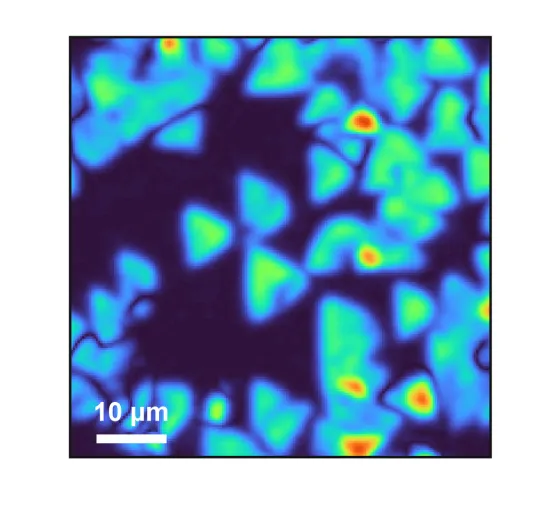 Bild: Neues Mikroskop macht unsichtbares 2D-Material sichtbar