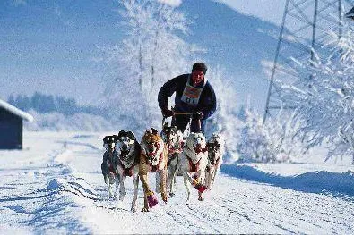Aktivurlaub im Winter im Nationalparkgebiet Bild: Aktivurlaub im Winter im Nationalparkgebiet