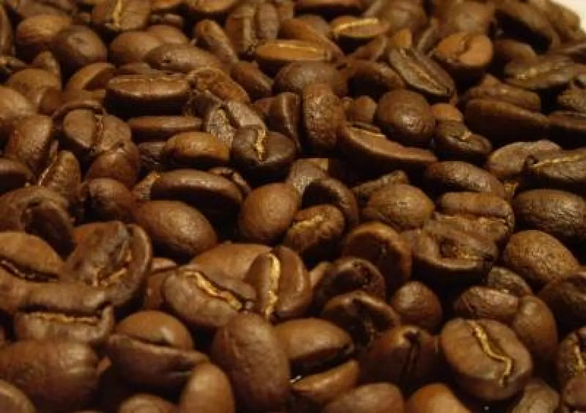 100% Aribica Hochlandkaffee aus Indien - Pearl Mountain von tesorito