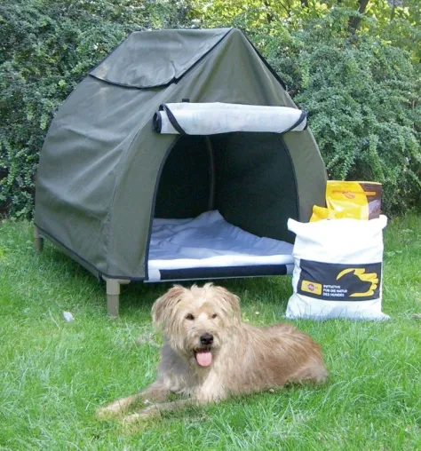 Aktion Liebevolles Zuhause gesucht - Pedigree Initiative startet Aktion zur Vermittlung von Tierheimen-Hunden Bild: Aktion Liebevolles Zuhause gesucht - Pedigree Initiative startet Aktion zur Vermittlung von Tierheimen-Hunden