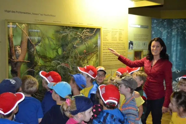 Bild: Traum vom Vermitteln im Klassenzimmer Museum: Claudia Glashauser beginnt ihre Arbeit auf Schloss Augustusburg