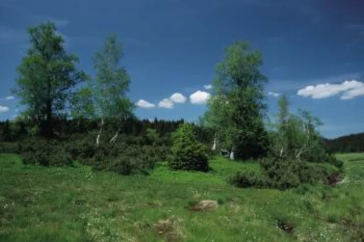 Urlaubsland Bayern mit traditionellen Festen Bild: Urlaubsland Bayern mit traditionellen Festen