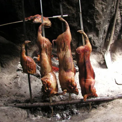 Bild: Urlaubstipp im Mai: Sardiniens wildromatisches Hinterland entdecken