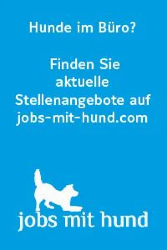 Jobs mit Hund - das erste Jobportal, in dem Hunde am Arbeitsplatz kein K.O.-Kriterium sind Bild: Jobs mit Hund - das erste Jobportal, in dem Hunde am Arbeitsplatz kein K.O.-Kriterium sind