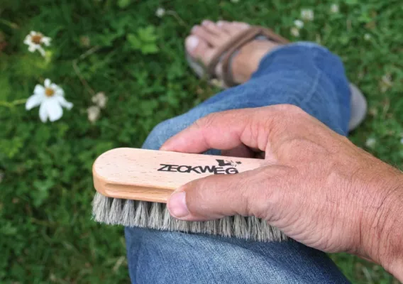 Bild: Neuer Schutz vor gefährlichen Zecken – ZECKWEG-Zeckenbürste