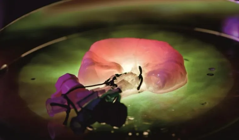 Fraunhofer ISC expands Health Unit Bild: Fraunhofer ISC expands Health Unit