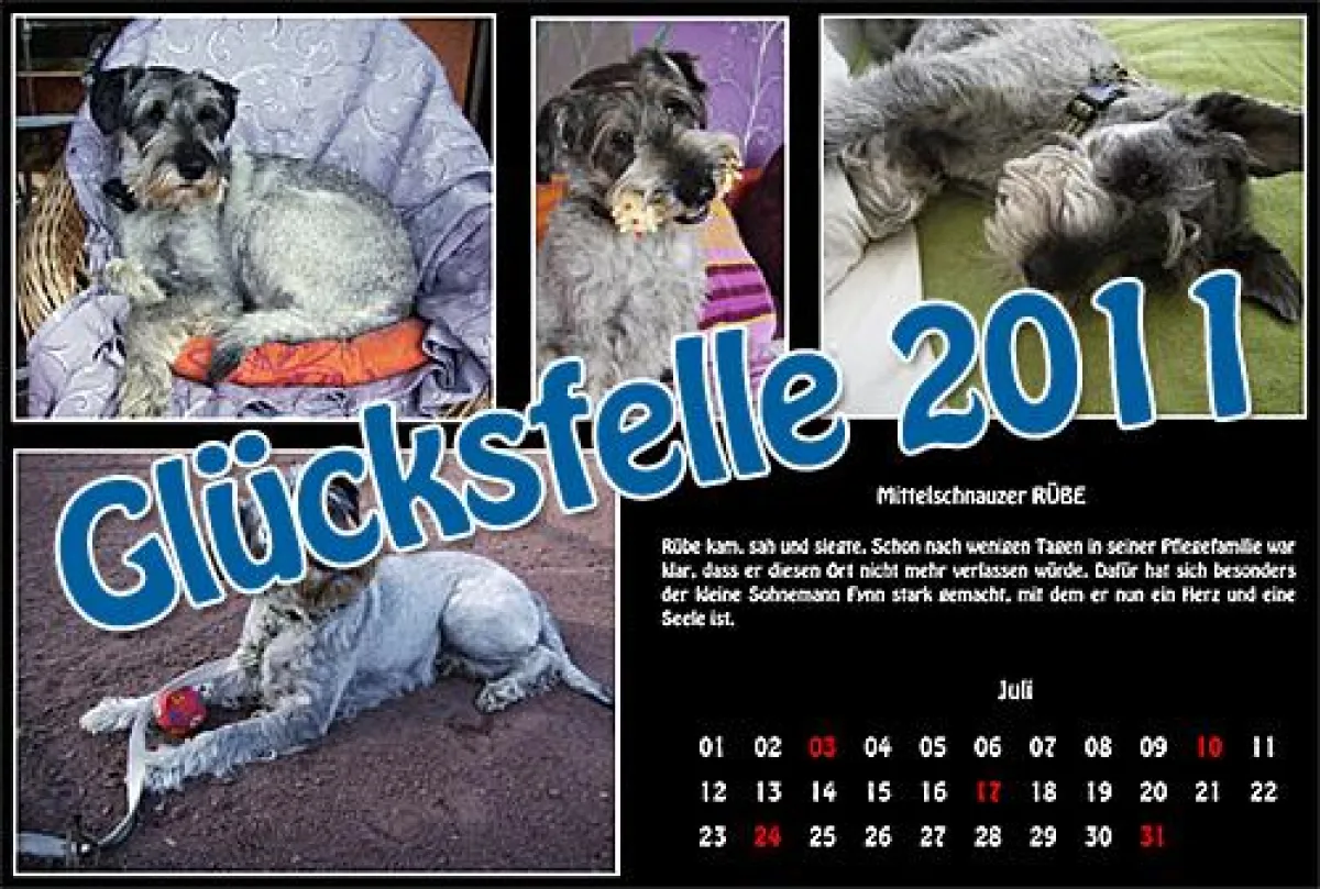 Der Kalender der RiesenSchnauzerNothilfe e. V.