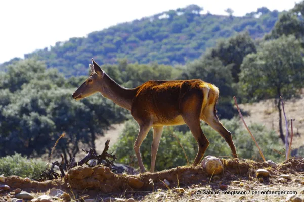 Bild: Beim Reisen die Natur schützen - geht das?