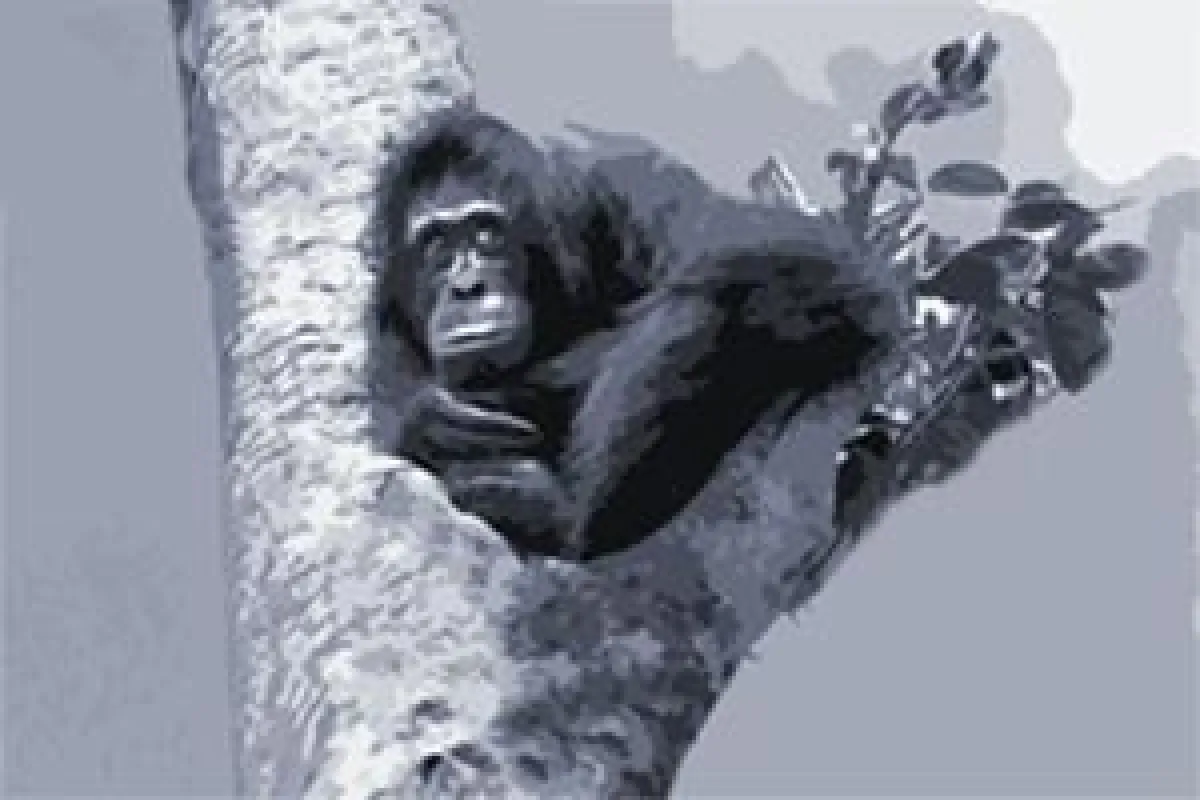 Reputationsrisiko managen - Vortrag von Nicole Schillinger