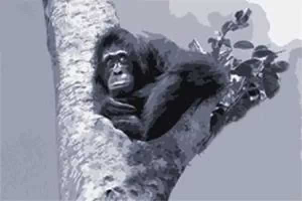 Bild: Reputationsrisiko managen - Vortrag von Nicole Schillinger