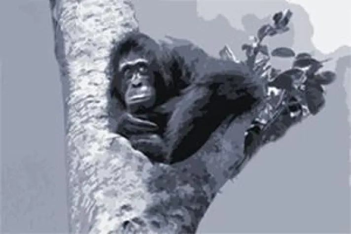 Bild: Reputationsrisiko managen - Vortrag von Nicole Schillinger