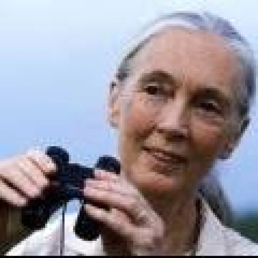 Dr. Jane Goodall DBE wird Internationale Botschafterin der EU Umwelthauptstadt Hamburg