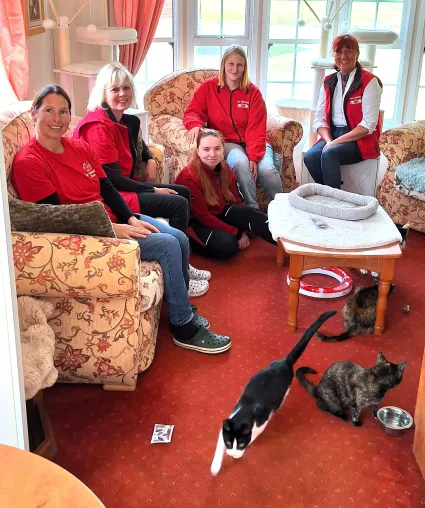 Das Waisenhaus der Katzen in Niedersachsen Bild: Das Waisenhaus der Katzen in Niedersachsen