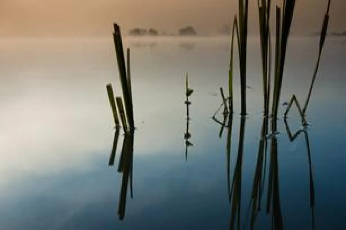 copyright Martina Weise