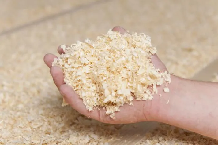 Bio-Dämmstoff HOIZ erhält eigene ÖKOBAUDAT-Kategorie Bild: Bio-Dämmstoff HOIZ erhält eigene ÖKOBAUDAT-Kategorie