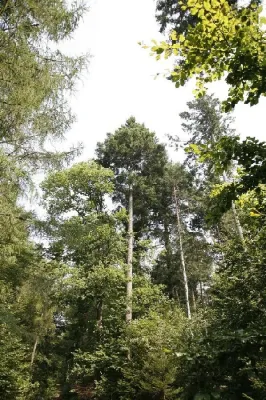 Die Vielfalt des Lebens Bild: Die Vielfalt des Lebens