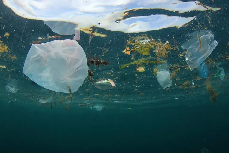 Flüsse tragen Plastikmüll ins Meer / Große Flusssysteme sind hauptverantwortlich Bild: Flüsse tragen Plastikmüll ins Meer / Große Flusssysteme sind hauptverantwortlich