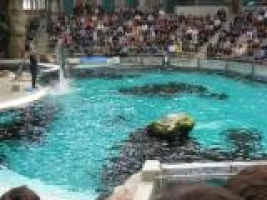 Orchester-Beschallung zum Geburtstag im Duisburger Zoo-Definarium in der Kritik des WDSF Bild: Orchester-Beschallung zum Geburtstag im Duisburger Zoo-Definarium in der Kritik des WDSF