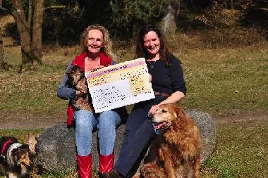 Bild: „zoolove by zooplus“ unterstützt Tierschutzarbeit für ältere Hunde mit 22.490 Euro