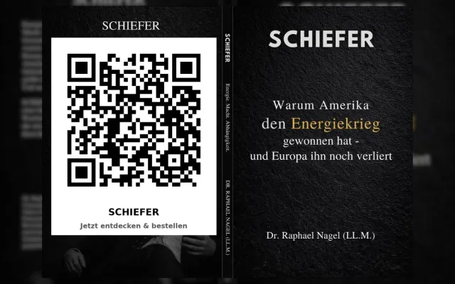 Bild: Die wirtschaftlichen und geopolitischen Lehren aus Europas Energiekrise