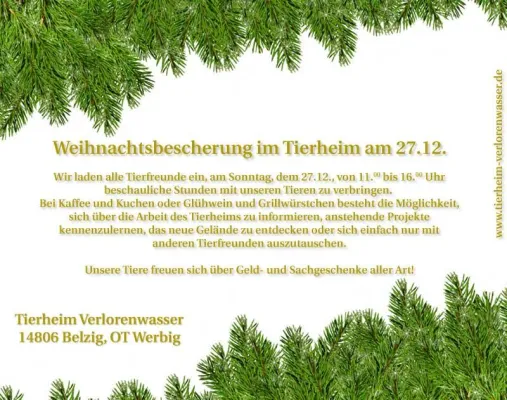 Bild: Tierheim Verlorenwasser lädt zur Weihnachtsbescherung für Tiere am 27. Dezember 09 ein