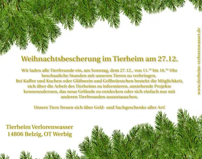 Tierheim Verlorenwasser lädt zur Weihnachtsbescherung für Tiere am 27. Dezember 09 ein Bild: Tierheim Verlorenwasser lädt zur Weihnachtsbescherung für Tiere am 27. Dezember 09 ein