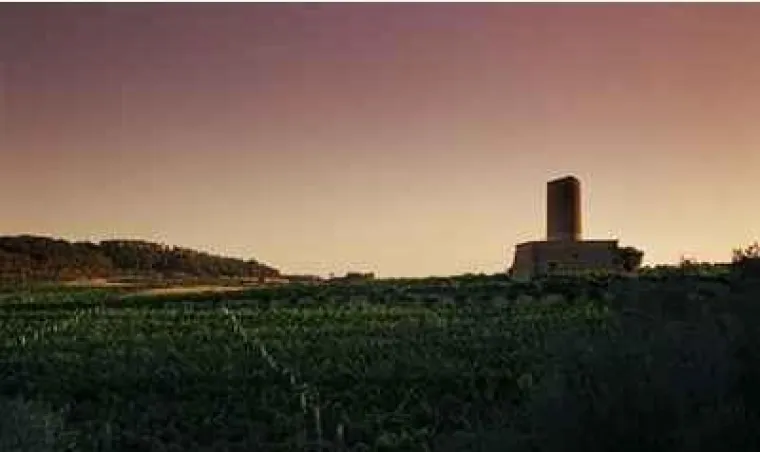 Bild: Wein Mallorca - Bodega Jaume Mesquida - Barrierefrei zu Kunst und Wein