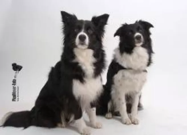 Bild: Die Spürnasen kommen