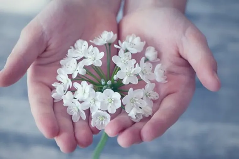 Bild: Unsere Hand ist ein Wunderwerk