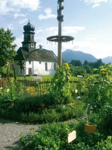 Ein Sommertraum aus Käse, Kräutern und Bergnatur: Oberallgäuer Käse-Kräuter-Wochen 2011 haben begonnen Bild: Ein Sommertraum aus Käse, Kräutern und Bergnatur: Oberallgäuer Käse-Kräuter-Wochen 2011 haben begonnen