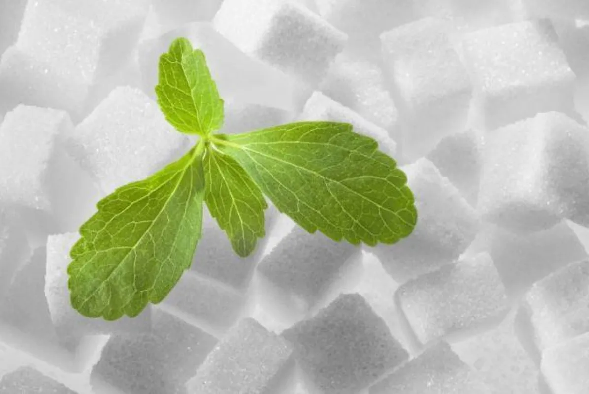 Stevia c blackcat/fotolia.com