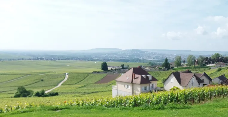 Champagner ist nicht gleich Champagner: Warum Non Dosage & Extra Brut die wahre Qualität zeigen Bild: Champagner ist nicht gleich Champagner: Warum Non Dosage & Extra Brut die wahre Qualität zeigen