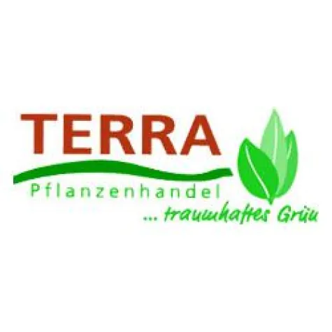 Bild: Lilien und Seifenkraut - selten im Garten zu finden