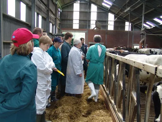 Bild: Gründe für die Nachwuchssorgen in der Nutztierpraxis