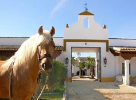 Bild: Reiterflirt.eu und Hacienda El Boyal verlosen eine Woche "Single-Urlaub" in Andalusien