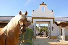 Bild: Reiterflirt.eu und Hacienda El Boyal verlosen eine Woche "Single-Urlaub" in Andalusien