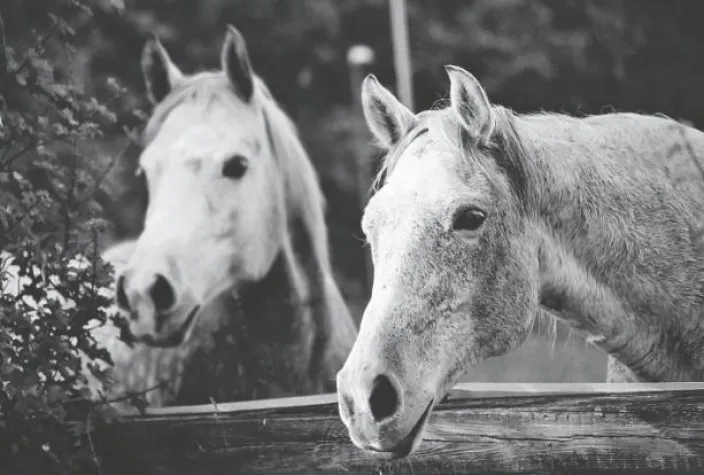Positive Perspektive: CT Arzneimittel unterstützt Kreativtherapien für traumatisierte Kinder und Jugendliche Bild: Positive Perspektive: CT Arzneimittel unterstützt Kreativtherapien für traumatisierte Kinder und Jugendliche