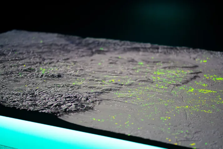 Bild: Ernteprognosen mit KI: Wie Satellitendaten die Landwirtschaft verändern