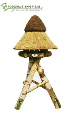 Bild: Vögel im Winter füttern – wichtig und richtig