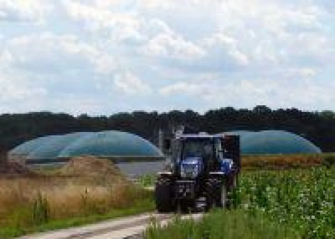 Erfahren Sie mehr zum Thema Alleskönner: Bioenergie!