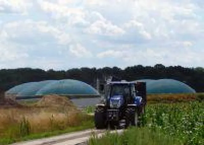 Bild: Energie zum Anfassen!