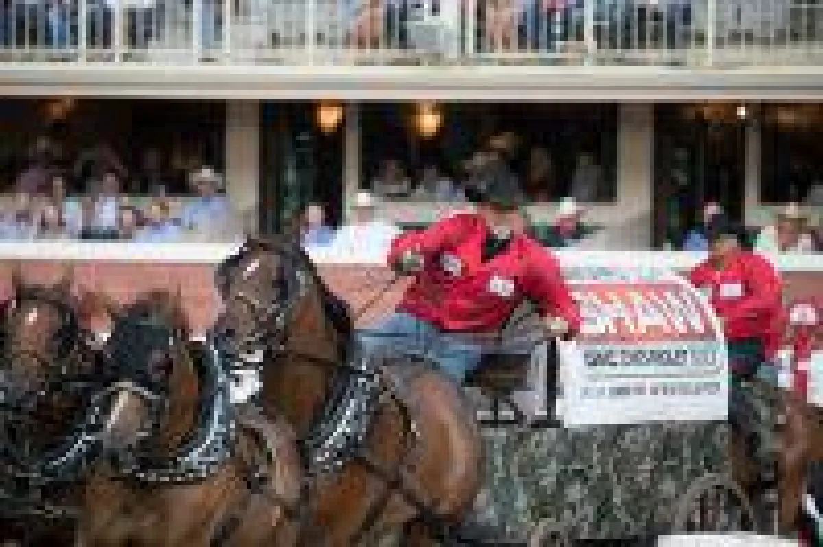 Planwagenrennen Bildrechte: Calgary Stampede