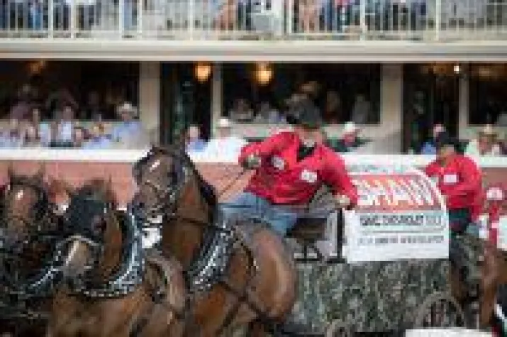 Bild: Die 105. Calgary Stampede lockt zur Rodeo-Show der Extraklasse