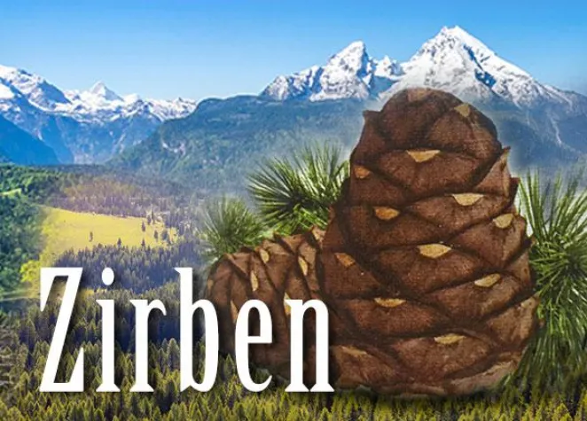 Bild: Schnaps aus Zapfen? Wie die Zirbe ins Schnapsglas kommt