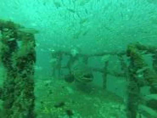 Bild: Schiffbruch zum Anfassen