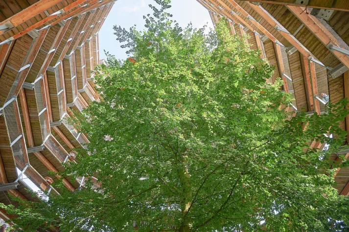 Bild: Hoch hinaus im Naturerbe Zentrum Rügen